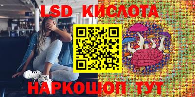 прущие крисы Кулебаки