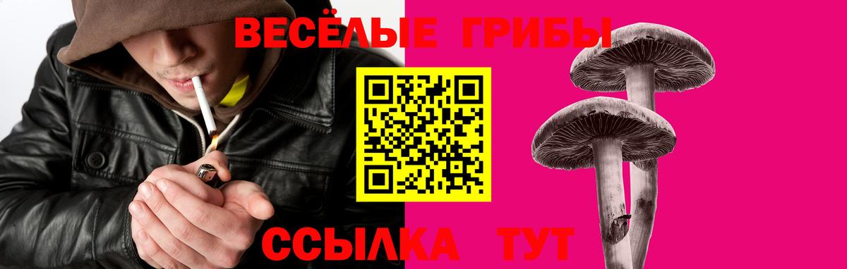 Долгопрудный  Псилоцибиновые грибы ЛСД  Вход с VPN  Галлюциногенные грибы мицелий 